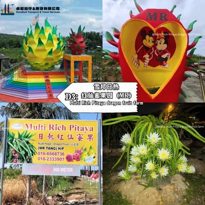 Multi Rich Pitaya dragon fruit farm - Tanjung Sepat